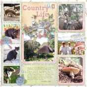 2019-04-08_CountryLife