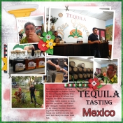 Taste of Tequila