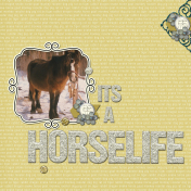 It's a horselife