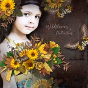 Wildflowers & Butterflies