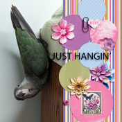 Just hangin'