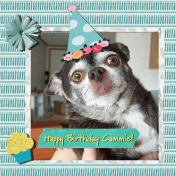 Cammie's b-day