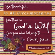 30 Days of Thankfulness, Day 7