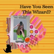 Have You Seen This Wizard?