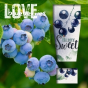 Love Blueberries