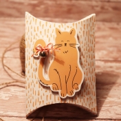 Kitty Cat Pillow Pouch Gift Box