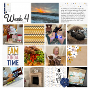 Week 4 Project 52