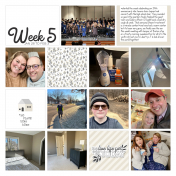 Week 5 Project 52