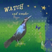 watch and wonder