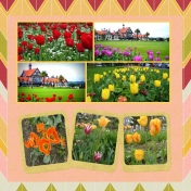 Tulips from NZ and Canada for the April Kits May Layout Challenge