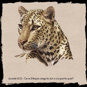 Can Leopards change their spots