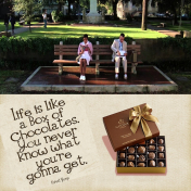 Life is Like a Box of Chocklates