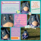 Lessons from Eeyore