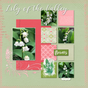 Lily of the Valley