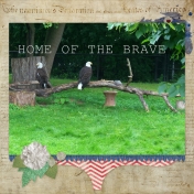 Home of the Brave