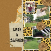 Life's A Safari