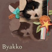 Byakko (2013 layout)