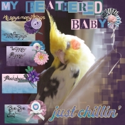 My Feathered Baby