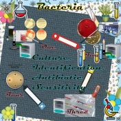 Elementary Bacteriology