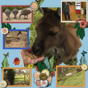 Parndana Wildlife Park 2