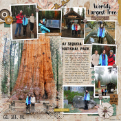 World's Largest Tree- AL