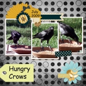 Hungry Crows