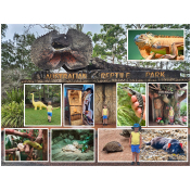 Australian Reptile Park.