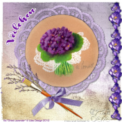 Veilchen- Violet