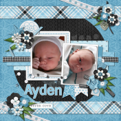 Ayden little boy