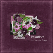 Passiflora