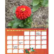 calendar 62