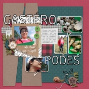 Gastéropodes