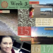 Project 365: Week 3, Page 1