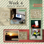 Project 365: Week 4, Page 1