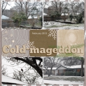 Family Album 2015: Cold-mageddon