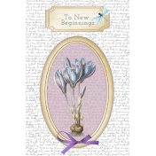 Crocus & dragonfly card