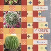 How Does Your Garden Grow?