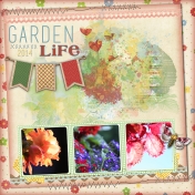 Garden Life 2014