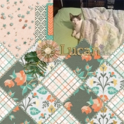 Lucan- Tucked in Bed