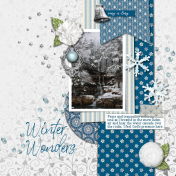 Winter Wonders