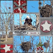 Eagle Watch