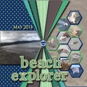 Beach Explorer