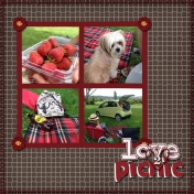 love 2 picnic