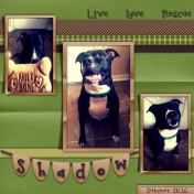 Shadow Live Love Rescue Summer 2016