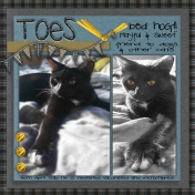 Toes- A Furbaby looking for his furever home......