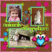 Zoo Animals