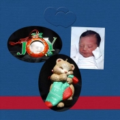 Christmas Ornament photo book p3