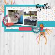 layout Templates kit #72