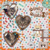 Crazy about Cats!