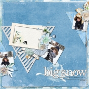 Big Snow 2011